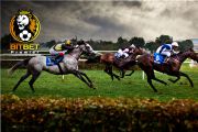 Horse Racing